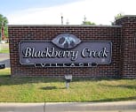 Blackberry Creek Village, Flint, MI
