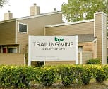Trailing Vine Place, Kingwood, TX