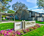 Olive West, South Bernardo Avenue, Sunnyvale, CA