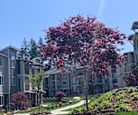 Apartments For Rent With Gated Access In South Tacoma