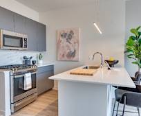 740 N Aberdeen St #1011, 60642, IL