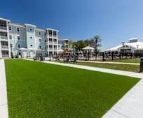 Cheap Apartment Rentals In Wesley Chapel Fl