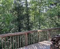 151 Forest Mountain Rd, Weston, VT