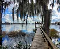 8980 E Devils Neck Rd, Floral City, FL