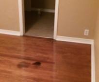 94 New Apartments behind lowes in elizabethton tn with Simple Design