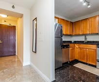 440 N Wabash Ave #4607, 60611, IL