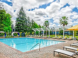 vineyard luxury apartments petaluma