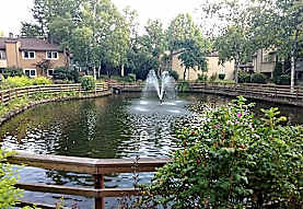 Hampton Greens Apartments Bellevue Wa 98007