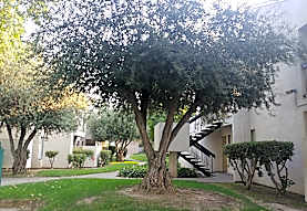 Park Brighton Apartments Modesto Ca 95355