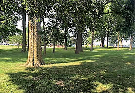Camelot Hills Apartments Lansing Mi 406