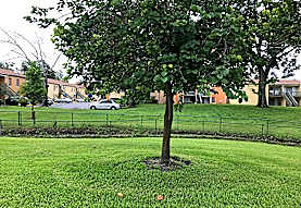 Marquis Apartments Tampa Fl 33614