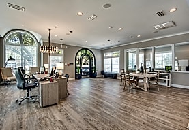 The Estates of Las Colinas Apartments - Irving, TX 75062