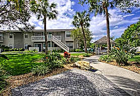 The Park At Avanti Apartments Tampa Fl 33615