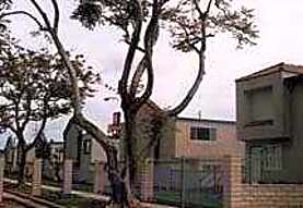 Corona Del Rey Apartments Corona Ca 91720