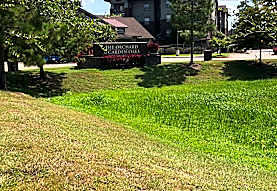 The Orchard At Garden Oaks Apartments Houston Tx 77018