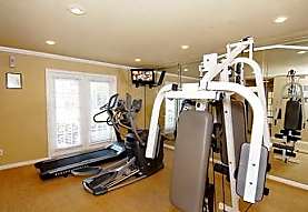 Granite Club Apartments - Houston, TX 77063