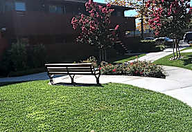 Clarendon Street Apartments San Jose Ca 95129