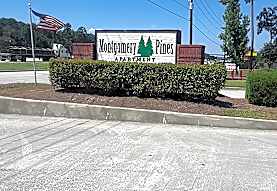 Montgomery Pines Apartments Porter Tx 77365