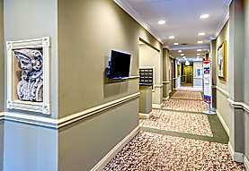 Flamingo Apartments - Chicago, IL 60637