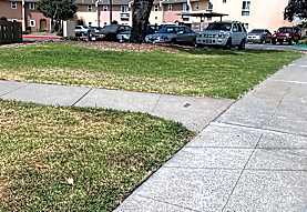 Southern Shoreline Point Richmond Neighborhood Guide