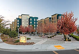 Apex Apartments Milpitas Ca 95035