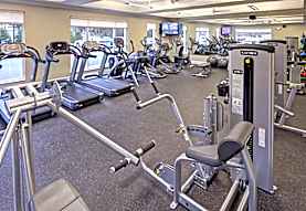 University Edge Per Bed Lease Apartments Kent Oh 44240