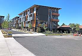 Sunshine Portland Apartments Portland Or 97202