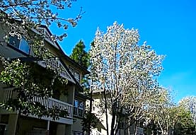 Greystone Apartment Homes Davis Ca 95616
