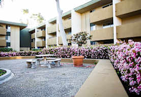 Bay Pointe Apartments San Diego Ca 92109
