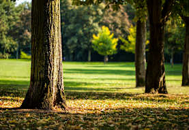 Andrea Place Apartments Portland Or 97233