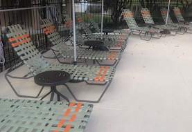 River Park Apartments Orlando Fl 32817
