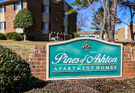 Pines Of Ashton Apartments Raleigh Nc 27610