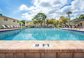 Brandywine Apartments - Saint Petersburg, FL 33710