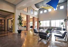 The Domain At Waco Student Apartments Waco Tx 76706