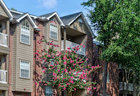 The Pointe At Lenox Park Apartments Brookhaven Ga 30319