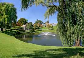 Muirwood Apartments Amp Terrace Homes Farmington Hills Mi