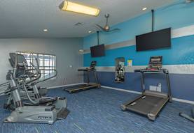 Ariel Springs Apartments Spring Hill Fl 34609