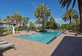 The Club At Millenia Apartments Orlando Fl 32839