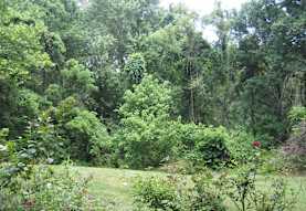 Riverview Apartments - Laurel, MD 20707