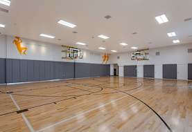 The Devon At University Place Apartments Orem Ut 84097