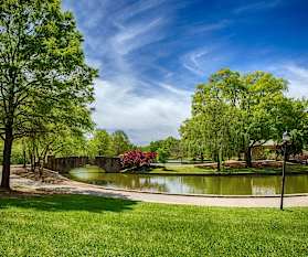 Apartments For Rent In Charlotte Nc 1305 Rentals