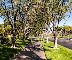 Summerlin Apartments For Rent 291 Apartments Las Vegas