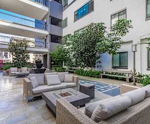 Pet Friendly Apartments For Rent In Mission District San
