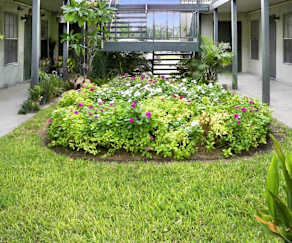 Cheap Apartment Rentals In Corpus Christi Tx