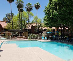 Dobson Ranch Apartments For Rent 125 Apartments Mesa