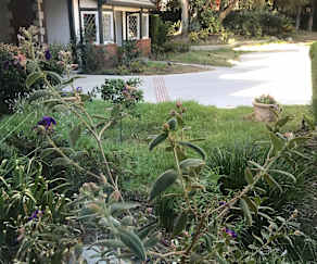 Apartments For Rent In Chatsworth Ca 260 Rentals