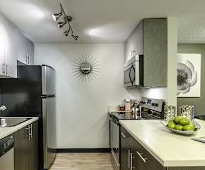 Factoria Apartments For Rent 161 Apartments Bellevue