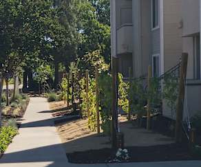 Apartments For Rent In Livermore Ca 101 Rentals
