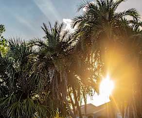 San Jose Apartments Winter Park Fl 32792