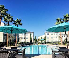 The Lodge At West Oaks Apartments Houston Tx 77082